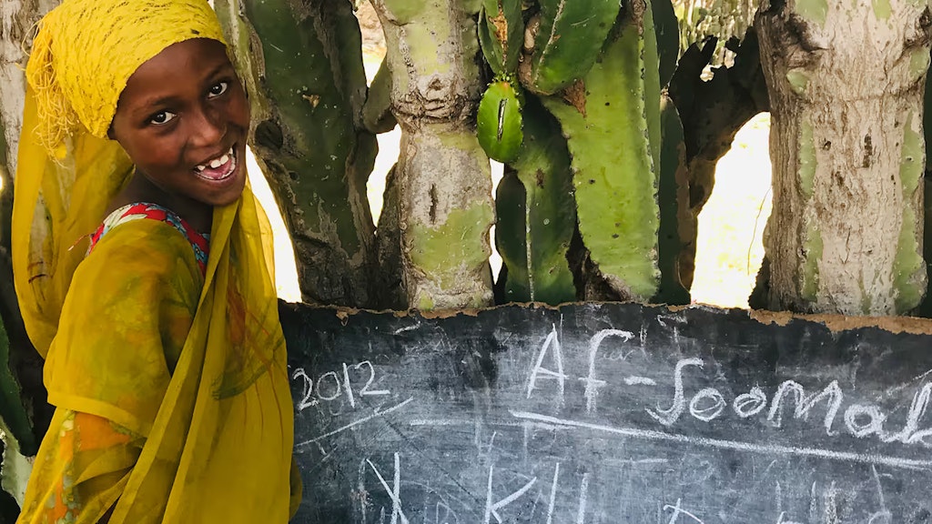 Ein Mädchen steht vor einer Wandtafel im Freien und schaut in die Kamera (Bild aufgenommen in Äthiopien). 