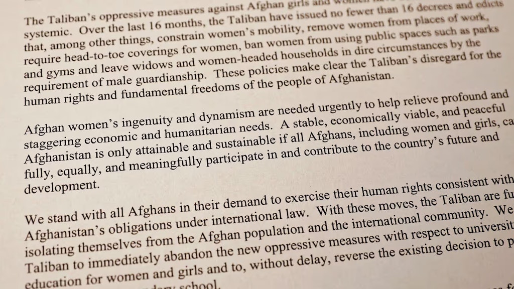 Sätze aus dem Text der gemeinsamen Erklärung.