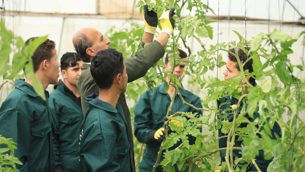 Ein Lehrer erklärt jungen Männern in einer Landwirtschaftsschule eine Pflanze. 