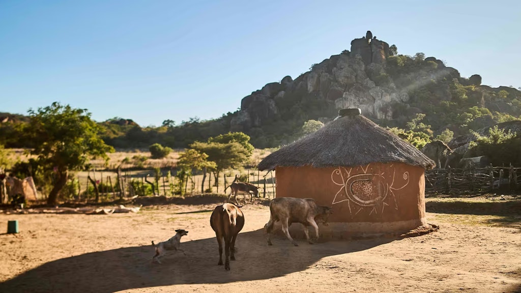 Ein kleiner Bauernhof, umgeben von ein paar Kühen auf einer Lichtung in Simbabwe.