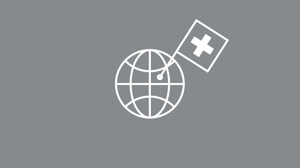 Vertretung im Ausland