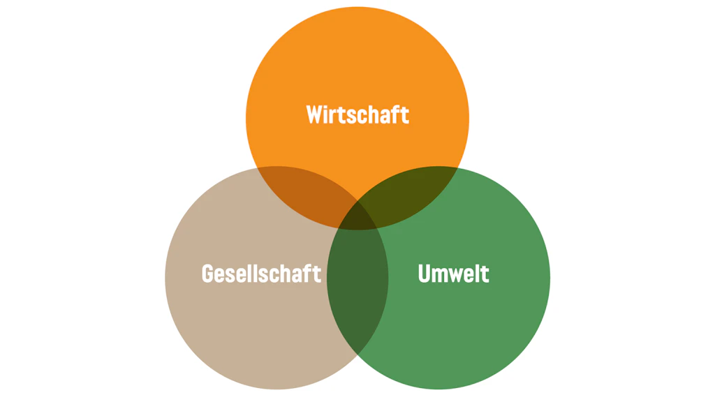 Die Grafik zeigt die drei Dimensionen der Nachhaltigkeit.