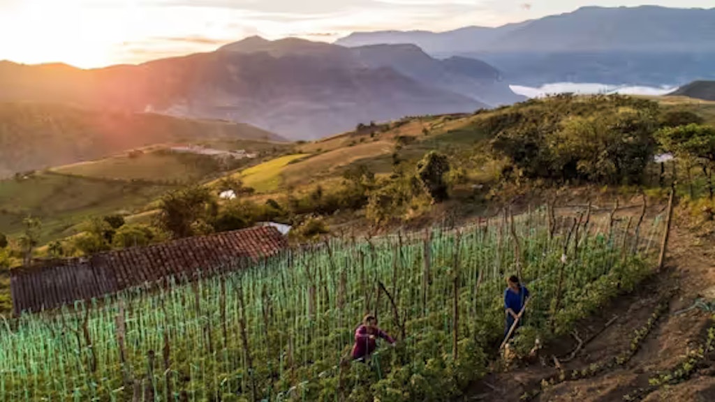 Zwei Frauen bei der Feldarbeit in den gebirgigen Anden, Ecuador.