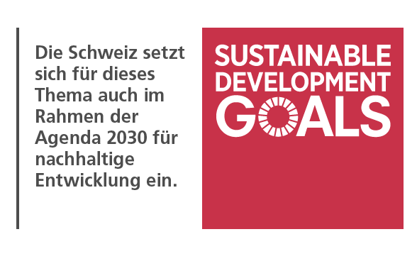 SDG Hinweis