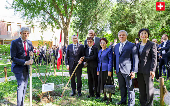 Bundesrat Ignazio Cassis und vier Personen der chinesischen Delegation stehen neben dem frisch gepflanzten Baum 