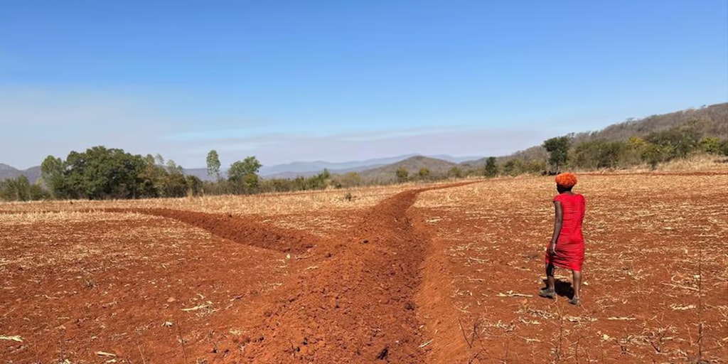 Eine Frau steht auf deinem trockenen Acker, der von Gräben durchzogen ist. Durch diese Gräben soll dereinst Wasser fliessen. 