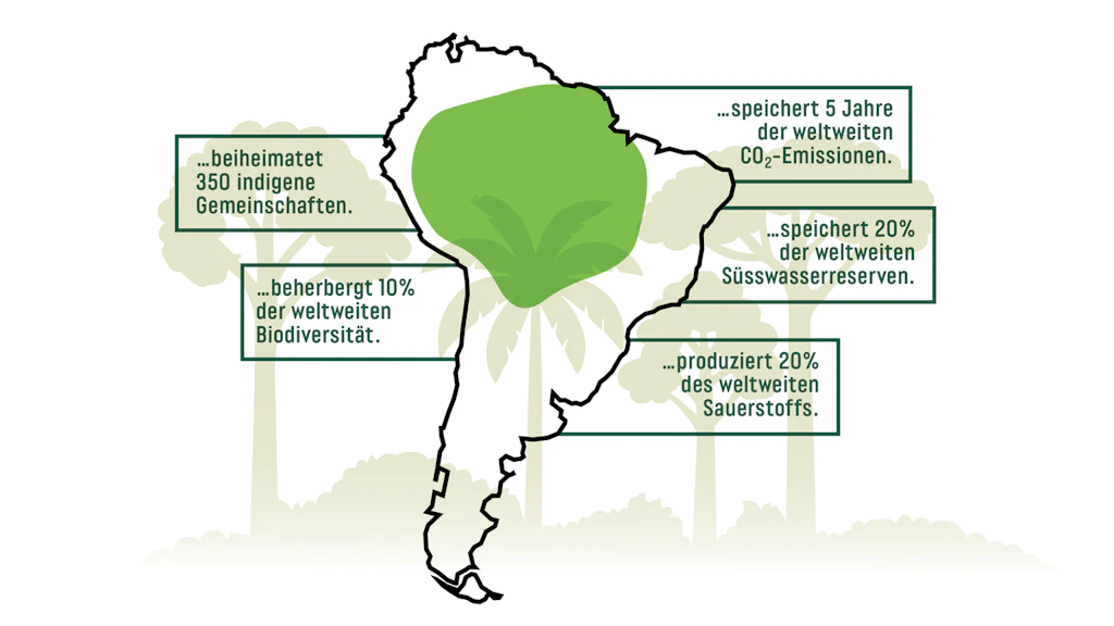 Karte des südamerikanischen Kontinents, welche die Ausdehnung des Amazonas zeigt.
