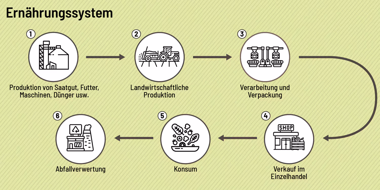 Grafik, die ein Ernährungssystem von der Produktion von Saatgut und Futter zur landwirtschaftlichen Produktion zur Verarbeitung und Verpackung über den Verkauf im Einzelhandel zum Konsum bis hin zur Abfallverwertung aufzeigt.