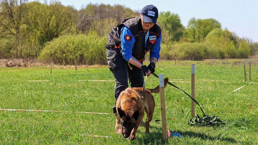 Eine Minenräumerin der FSD und ein Minenspürhund suchen in Charkiw, Ukraine, nach explosiven Kampfmitteln.