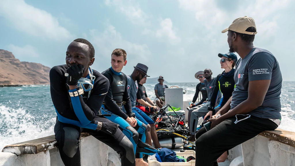 Scientists from the Transnational Red Sea Center on a field mission in Djibouti. 