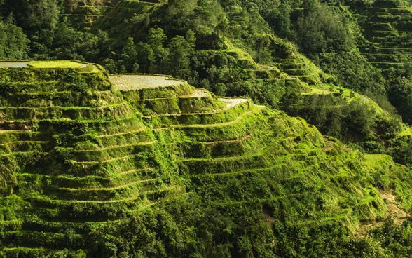 The Photo shows rice terraces located in the Philippines.