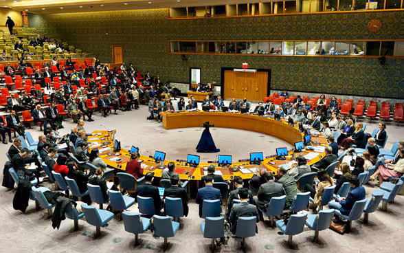 The UN Security Council during a vote.