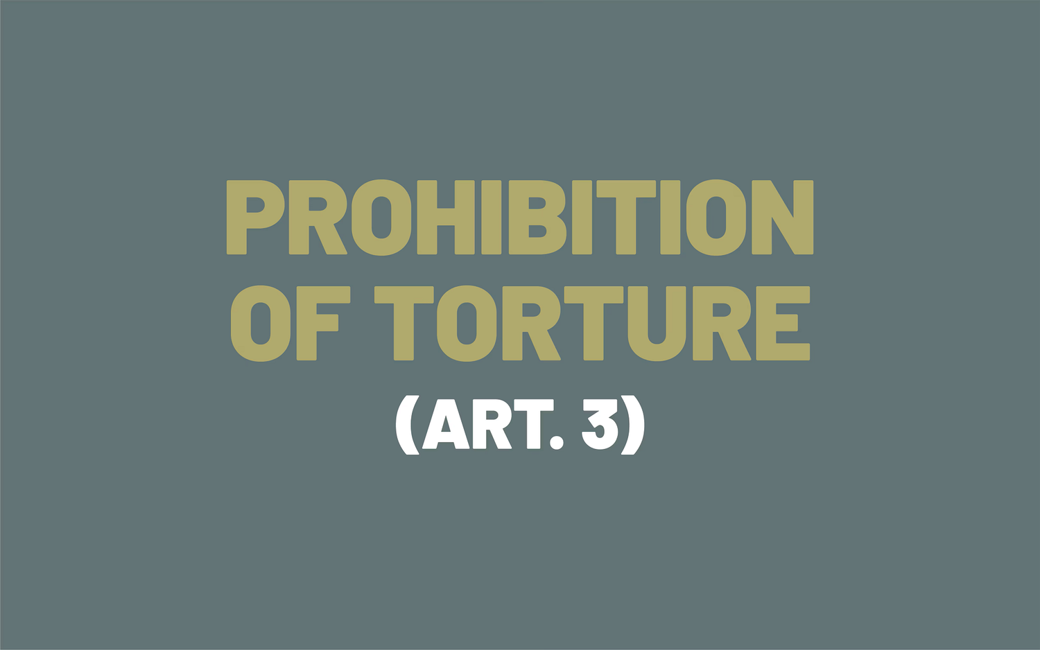 The picture is based on the wording of Article 3 of the European Convention on Human Rights, which prohibits torture.