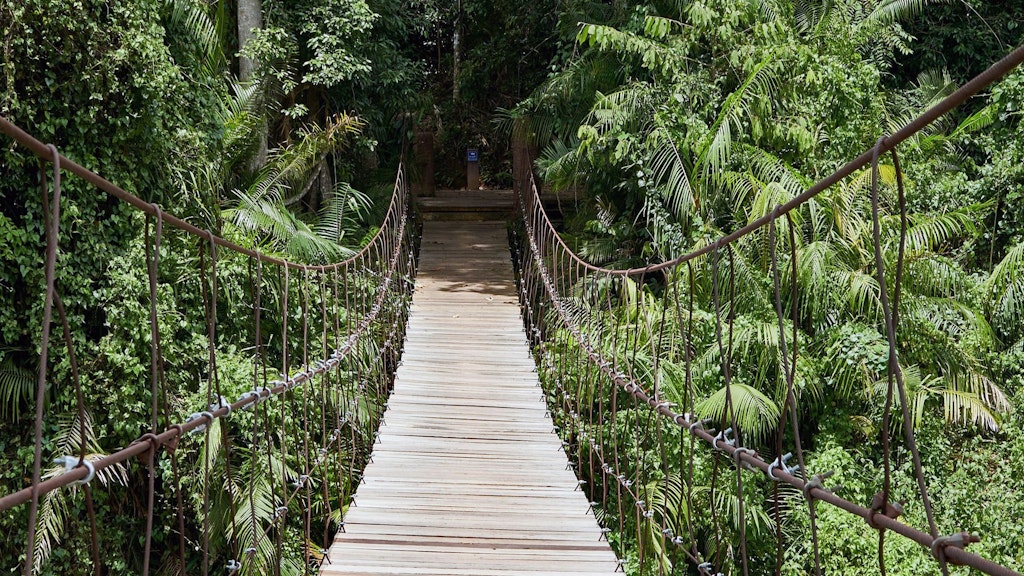 A rope bridge in the jungle over a brown river is depicted.