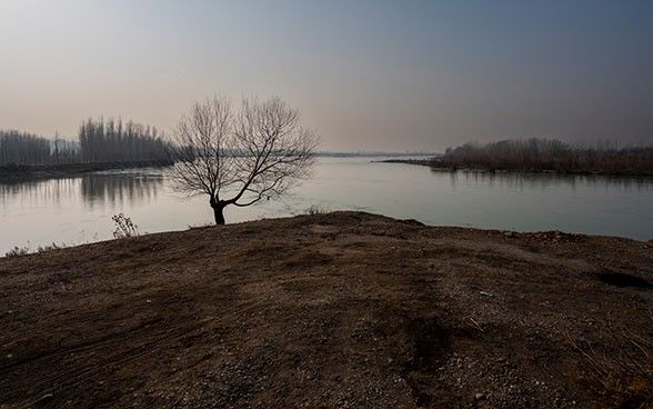 Landscape with a stretch of water and a dry tree in the foreground.