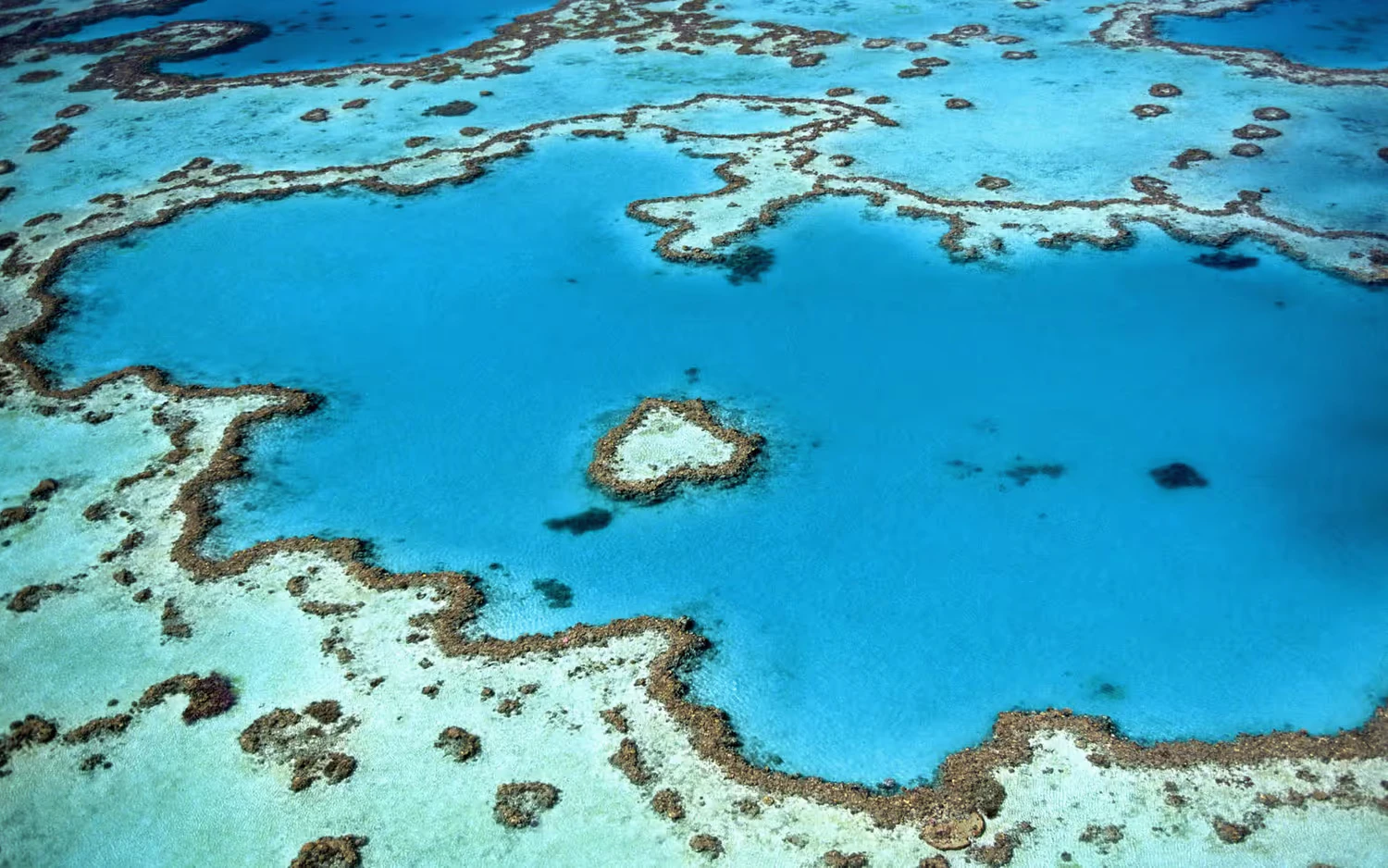 Photo of the Great Barrier Reef taken from above.