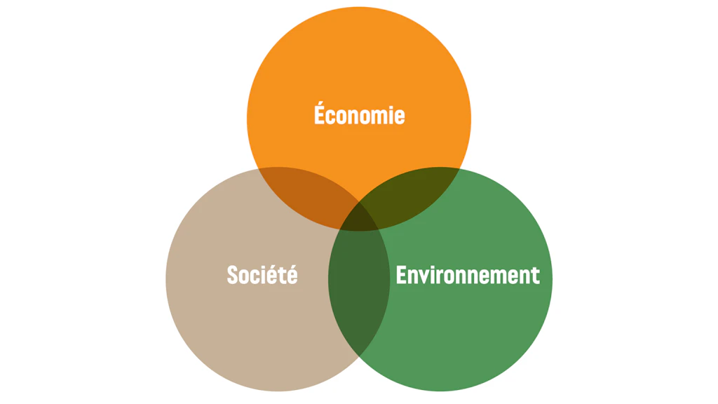 Diagramme représentant les trois dimensions de la durabilité