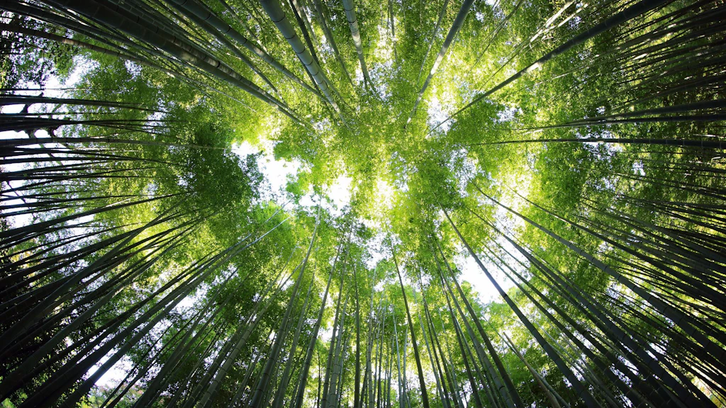 Les thèmes des deux sections Climat, environnement et santé ainsi que Science, espace et Arctique sont représentés par des pictogrammes disposés autour d’un globe terrestre.