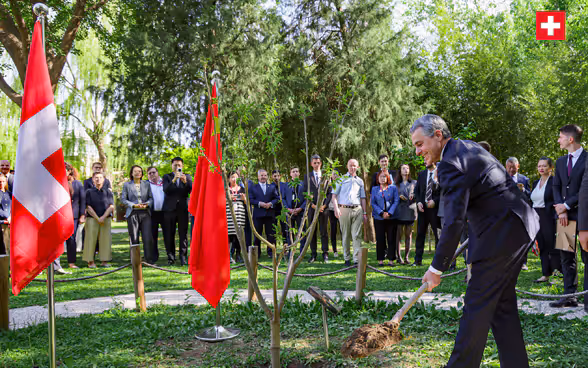 Il consigliere federale Ignazio Cassis pianta un castagno nel giardino dell'Ambasciata per simboleggiare i 75 anni di relazioni diplomatiche. 