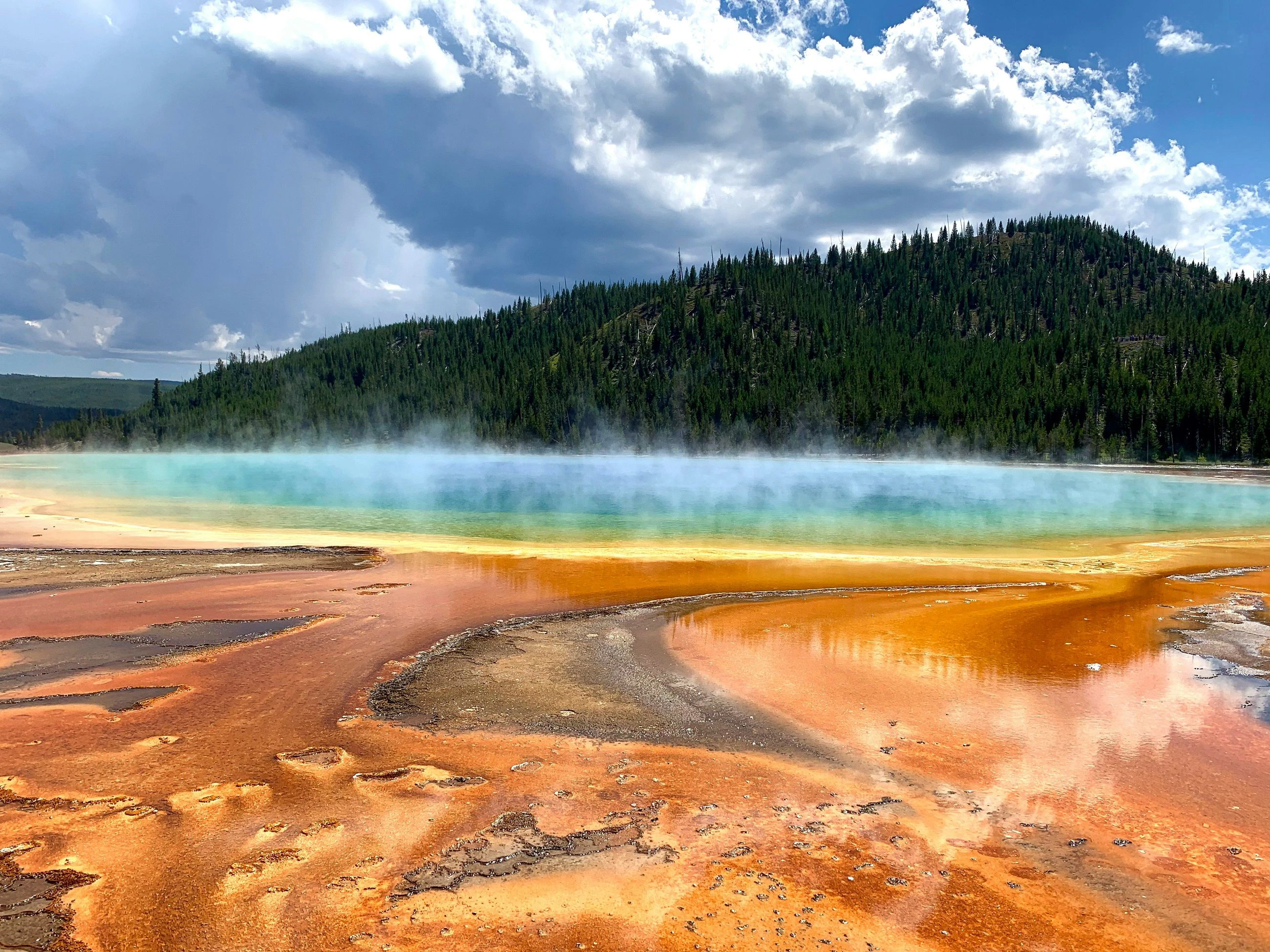 L'immagine mostra una sorgente geotermica, simbolo del Parco Nazionale di Yellowstone.