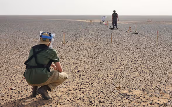 Gli sminatori lavorano su un campo minato nel deserto di pietra del Sahara occidentale.