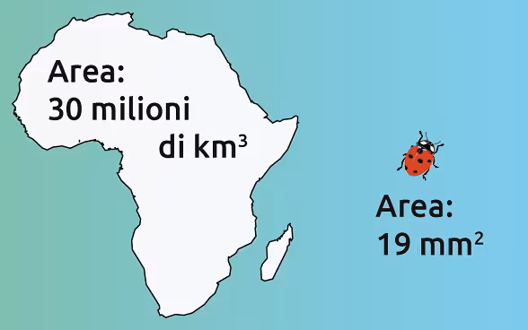 Un’illustrazione mostra il rapporto tra 15 quintilioni USD e 96 bilioni USD.