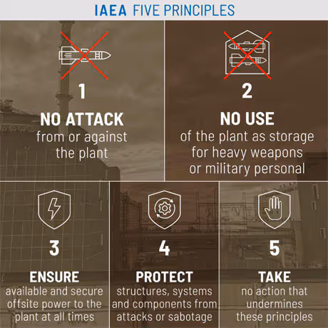 Infografica con i cinque principi dell'AIEA per la protezione della centrale nucleare di Zaporijjia.
