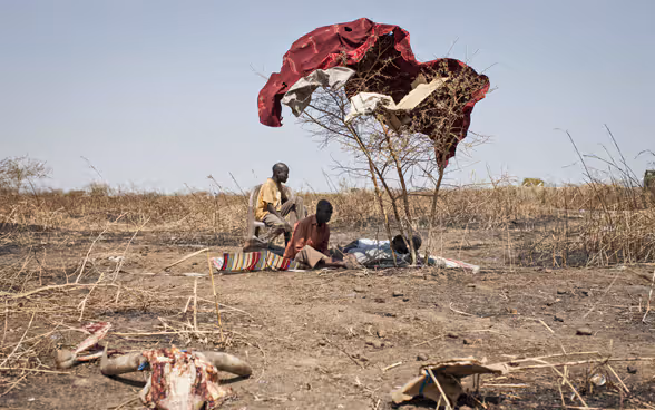 Civili seduti all'ombra di una coperta posta su un piccolo albero.