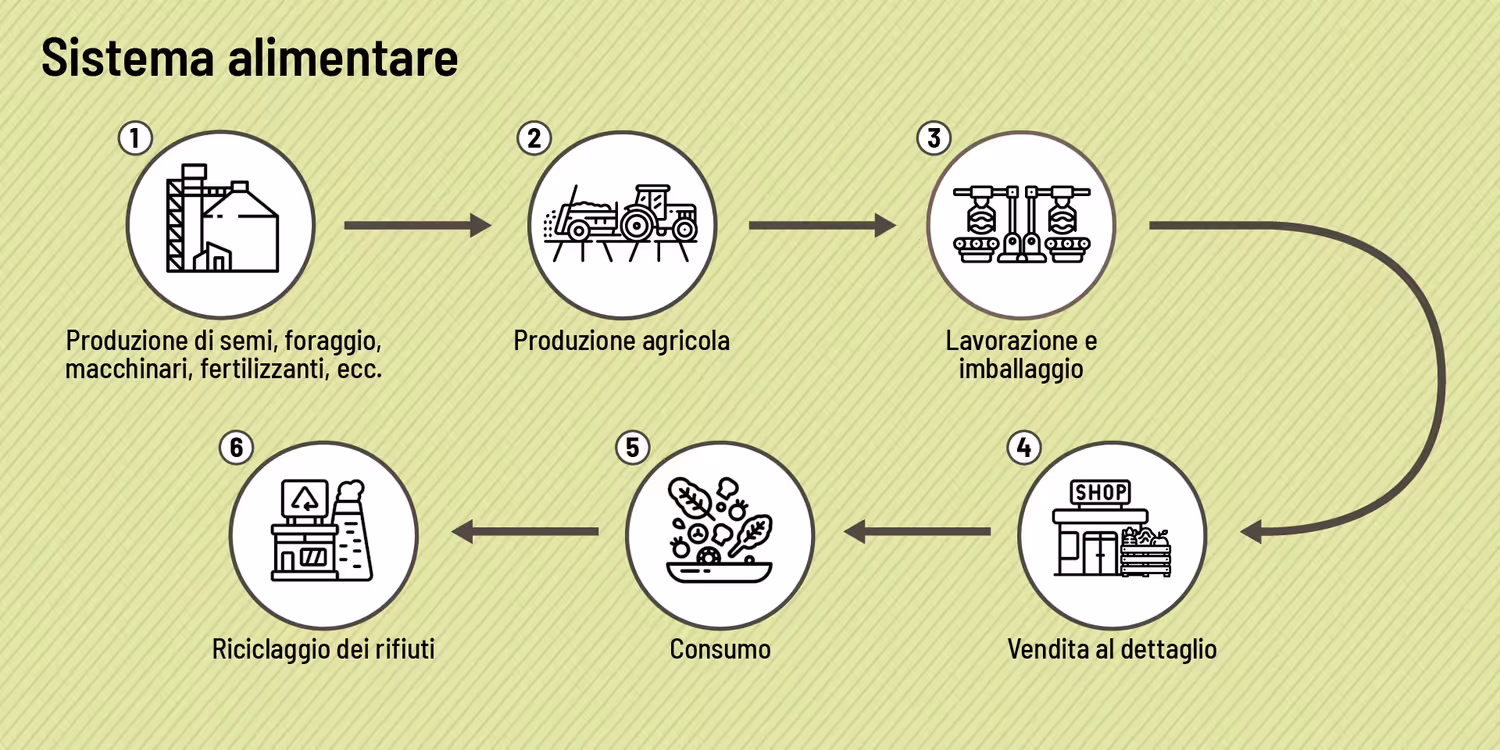 Un grafico rappresenta le tappe di un sistema alimentare: produzione di semi e mangimi, produzione agricola, trasformazione e imballaggio, vendita al dettaglio, consumo e riciclaggio dei rifiuti.